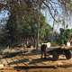 A village near Thanesar in Kurukshetra, Haryana where I met one of the women I spoke to.